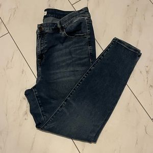 Lane Bryant skinny jeans